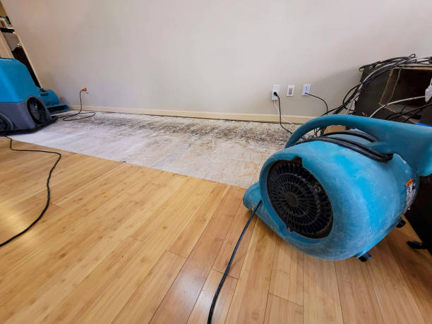 Professional Water Damage Repair technician working in Eighty Four, PA